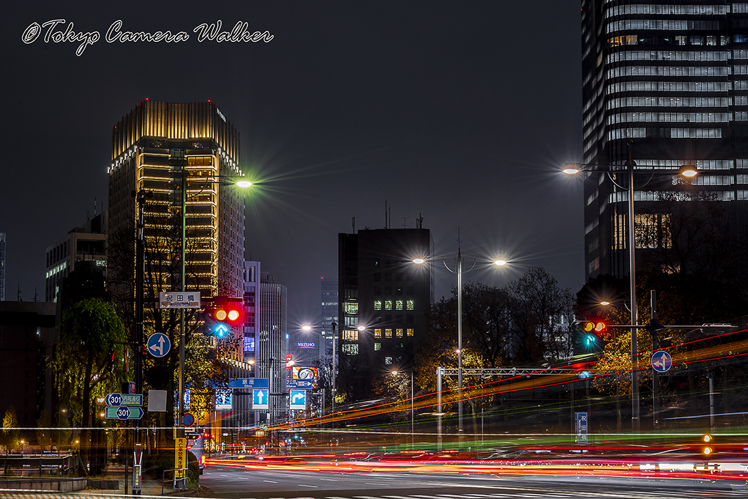 光舞う祝田橋 Tokyo Camera Walker